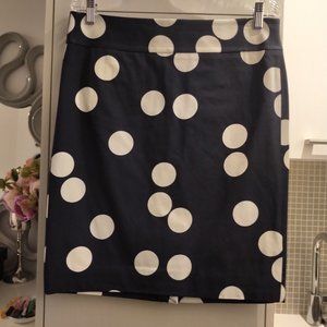 Banana Republic Skirt Size 10